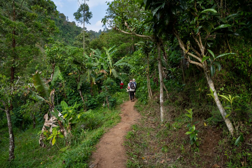 Kilimanjaro Climbing Cost